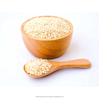 Harga Terbaik Kualitas Tinggi Laris Manis Kemurnian 96% Biji Wijen Putih Panen Musim Panas 100% Alami Bebas GMO Bersertifikat APEDA Segar dari India