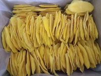 Vietnam Natuurlijk Tropisch Fruit Snack Zacht Gedroogde Mango Geen Suiker Toegevoegd Veganistisch Glutenvrije Zoete Smaak Siroop Bulk Groothandel Export