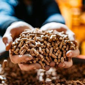 Venta al por mayor SEPON Vietnam 600kg/m3 Sistema de Calefacción Pellets de Madera Nuevos de 8mm en Forma de Trozo Máx. 10 4000J 3% Ceniza 10-40mm - Product Image 5