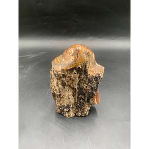 Tronco de Madera Petrificada Natural y Roja para Decoración del Hogar con Parte Superior Pulida y Laterales Naturales - Product Image 1