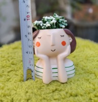 Macetas Decorativas Ecológicas de Resina para Jardín y Hogar, Precio al por Mayor, Regalo, Acabado Glaseado Ligero, Maceta de Escritorio para Interiores