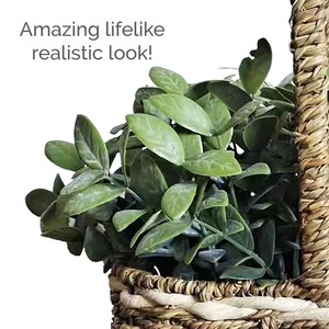 ตะกร้าเก็บของจากหญ้าทะเลพร้อมหูหิ้วสูง ตะกร้าเก็บของทำมือ ขายส่ง เป็นมิตรกับสิ่งแวดล้อม ผลิตในเวียดนาม - Product Image 5