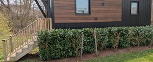 Minimaliste 24' Nomad – Tiny House Home LIVRAISON GRATUITE À TOUT LE MONDE - Product Image 5