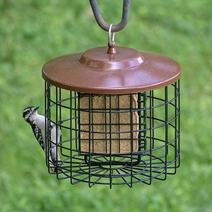 Vineyard Select Mesh Bird Feeder Outdoor <b>Garden</b> Hanging Feeder Modern Copper Mesh Bird Feeder - Product Image 6