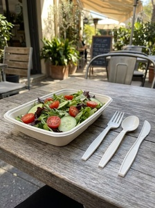 Cuchara Desechable Ecológica y Elegante para Servicios de Catering, Eventos, Bodas y Fiestas, Cuchara de 155 mm para Uso en Cantinas y Cafeterías - Product Image 1