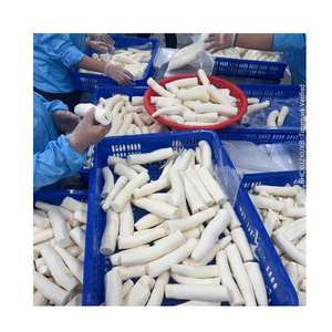 Raíz de Yuca Congelada de Alta Calidad para Uso Industrial en la Fabricación de Alimentos - Product Image 2