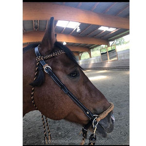 Fancy Leather Horse Sidepull Hecho con tintes de tambor Cuero indio por Kiran Overseas - Product Image 1