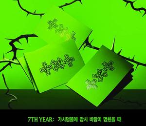 7.º AÑO: Cuando el viento se detuvo brevemente entre las espinas (Versión THORN) CD de Música Versión K-Pop, Plástico y Papel, Idioma Coreano, Para Todas las Edades - Product Image 2