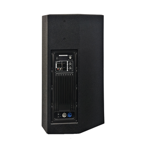 Altavoz Activo Bluetooth LS3 Serie VS de 10, 12 y 15 Pulgadas, de Rango Completo y Fuente Puntual - Product Image 4