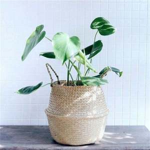 <b>Baskets</b> for Plants Handmade Woven Natural Seagrass Planter <b>Basket</b> for Home Decor Wholesale Supplier from Vietnam - Product Image 3