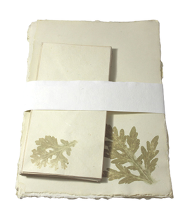 Real Fresh Leaves Impressions <b>A4</b> <b>Folder</b> Set Cream Color Paper Office Supplies With Letter Heads Envelopes For Stationery Use - Product Image 1