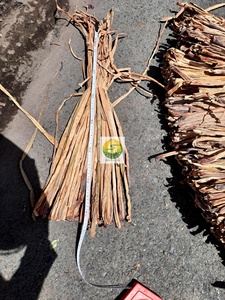 Vietnam Factory Cheap Price Water Hyacinth Fiber Rope 60cm Bale Raw Material Handicraft <b>Making</b> Single Eco-Friendly <b>Storage</b> - Product Image 5