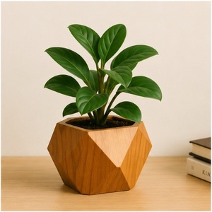 Maceta Geométrica Moderna de Madera, Minimalista, Facetada, para Suculentas, Hecha a Mano, Decoración Sostenible para Escritorio, Hogar y Oficina - Product Image 4