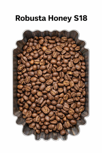 เมล็ดกาแฟโรบัสต้าคั่วคุณภาพพรีเมียม จำหน่ายแบบขายส่ง สะอาด/กระบวนการฮันนี่ ขนาดกรอง 16/18 คั่วระดับกลาง แหล่งผลิต จียาไล เวียดนาม - Product Image 3