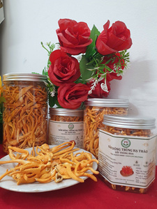 Cordyceps Militaris Pur Lyophilisé (Origine VN) Cordycepine 1328 Mg/kg Durée de Conservation de 24 Mois pour Infusion 50g Pham Dinh QQ Group - Product Image 4