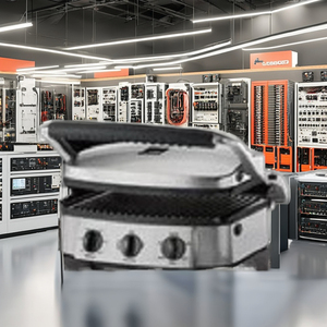 Componentes Principales Flametech: Bomba para Parrilla Eléctrica de 220V, Peso 70g, Fabricado en Maharashtra - Product Image 3