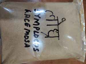 Polvo Vegano para el Crecimiento del Cabello, Más Vendido, con Amla, Ashwagandha, Brahmi e Hibisco, para Cabello Graso, Reduce la Caída y Previene las Canas - Product Image 3