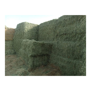 Wholesale Rhodes <b>Grass</b> Hay Affordable Bulk Export <b>Feed</b> Premium Quality - Product Image 3