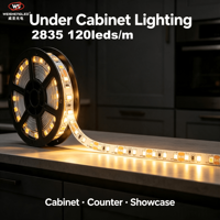 Bande LED flexible haute luminosité DC24V 120LEDs/m SMD2835, température de couleur 3000K-6000K, éclairage paysager à corps en cuivre.