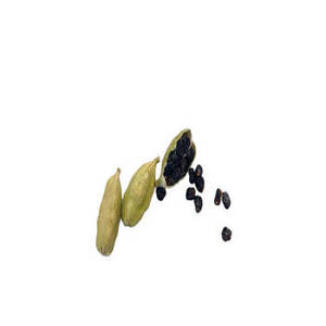 Cardamomo Verde de la India de Nueva Temporada en Cápsulas Enteras para Distribución al por Mayor, Tiendas de Comestibles Premium y Comercio Profesional de Especias - Product Image 4