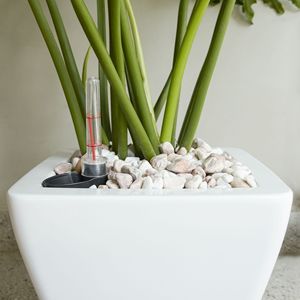 2 Pack Smart Self-Watering White <b>Square</b> Cone Planter <b>Pot</b> for Indoor and Outdoor Use - Product Image 4
