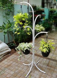 Wall Planters Round Metal Powder Coated Hanging <b>Bracket</b> for Garden Outdoor Use - Product Image 5