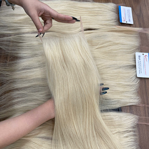 Cabello Humano Virgen Vietnamita al por Mayor, Cierre de Encaje Rubio 613, Encaje HD, Suave y Sedoso, Puntas Gruesas, Sin Caída - Product Image 1