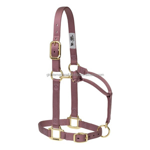 Licol de cheval durable en matériaux de qualité supérieure, ajustement confortable, pour l'équitation, en nylon - Product Image 5