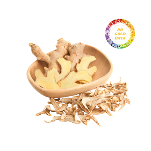 Rodajas de Jengibre Deshidratadas de Alta Calidad de Vietnam, Hojuelas de Jengibre Secas, Gran Venta - Product Image 4