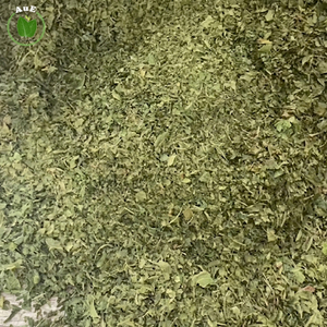 Polvo de Hoja Herbal Tailandesa Orgánica de Alta Calidad AuE Purity 1.2% MIT 5 Mesh, Grado Alimenticio, Secado por Aire Caliente - Product Image 2