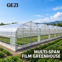 Serre commerciale multi-travées avec couverture en film PE et structure en acier galvanisé pour la culture de légumes, de fleurs et la production agricole