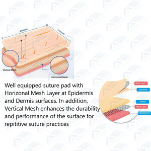 Manual Power Biological Dissecting Tools Stainless Steel Instruments Medical Vet Students Reusable Skin <b>Suture</b> Training <b>Kit</b> - Product Image 4
