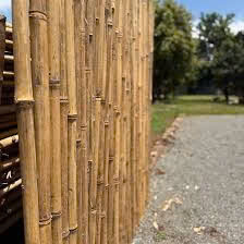Unique Design <b>Garden</b> Stakes Moso Bamboo Stick With Reasonable Price - Product Image 4