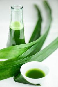 Poudre de Pandan d'origine vietnamienne - Arôme naturel de haute pureté pour la transformation alimentaire à grande échelle - VENTE CHAUDE - Product Image 4