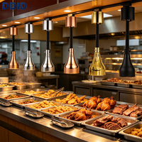 Lampe chauffante infrarouge flexible suspendue pour la restauration rapide, la cafétéria et les buffets – Design doré pour restaurants