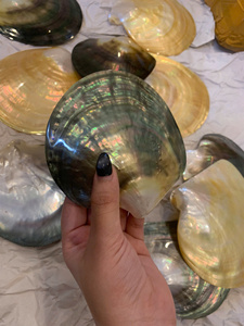 Handmade Mother of Pearl Plate Vietnam Shell Material for Jewelry Holder Serving Decor Table Use Polished Style - Product Image 5