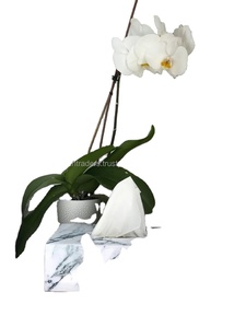 Boîte à mouchoirs en résine époxy design Accessoires Combo Finition polie Set pour un style intérieur contemporain - Product Image 2