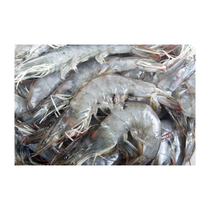 กุ้งสด 100% คุณภาพสูง กุ้งแช่แข็ง ราคาถูก - Product Image 3
