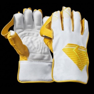 Gants de gardien de cricket avec logo personnalisé, usine OEM avec service d'étiquetage privé, production en gros et exportation en gros pour les marques - Product Image 1