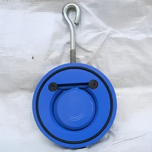 Clapet anti-retour à disque bleu en acier inoxydable 304, raccordement à disque unique, pour conduite d'eau moyenne pression 40MM - Product Image 3