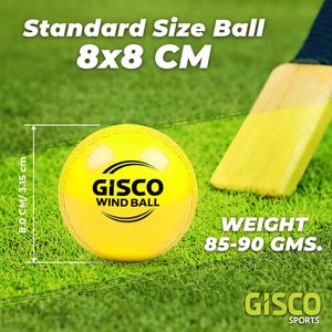 GISCO/CUSTOM Cricket Wind <b>Ball</b> Soft Vinyl Play <b>Ball</b> - Product Image 3