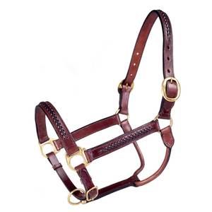 Brida de cuero clásica de alta resistencia con herrajes de acero inoxidable duraderos para un rendimiento prolongado - Product Image 6
