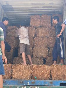 BLUE LOTUS VIETNAM Fabrication en gros de coque extérieure en noix de coco biodégradable naturelle au meilleur prix - Product Image 6