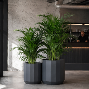 Juego de Macetas Modernas para Jardín Hieta Garden, de Fibra de Vidrio Negra, Redondas, Lisas, Cilíndricas, Decorativas para Interiores y Exteriores, en 5 Tamaños - Product Image 5