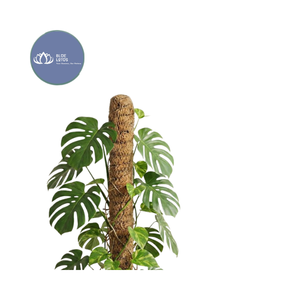 Poteau en fibre de coco écologique de qualité supérieure – Support durable pour Monstera - Product Image 1