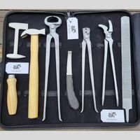 Kit de Herramientas Profesional de Acero Inoxidable de Alta Resistencia Clase II para Herradores de Caballos, Juego Completo para el Cuidado y Mantenimiento de Pezuñas Equinas
