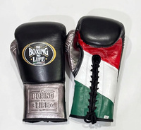 Gants de boxe Super Qualité Rouge & Blanc No Boxing No Life, à doigts entiers, avec fermeture à lacets réglable, pour l'entraînement No Boxing No Life
