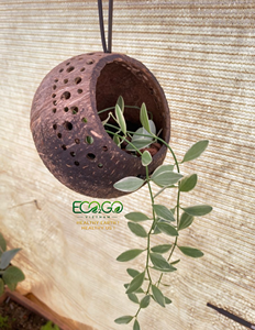 Pot de plante en coquille de noix de coco |   Jardinière rustique naturelle pour plantes succulentes, fleurs, herbes et décoration de jardin domestique |   Eco2go Vietnam - Product Image 4