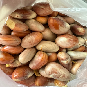 เมล็ดขนุนอบแห้งคัดสรรเกรดอาหาร วัตถุดิบธรรมชาติ สำหรับคั่ว บด ปรุงอาหาร และทำอาหารที่มีคุณค่าทางโภชนาการ - Product Image 6