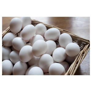 Fournisseur en gros d'œufs de poulet blancs naturels de qualité supérieure, œufs frais de ferme pour les supermarchés et les distributeurs de produits alimentaires - Product Image 6